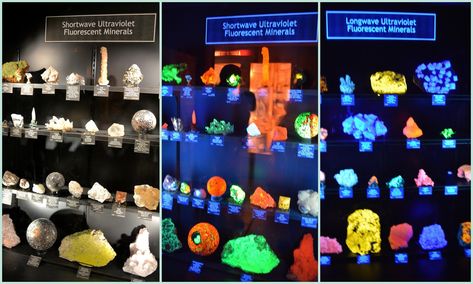 Examples of florescence at the Geology Museum at the Colorado School of Mines Fluorescent Rocks, Geology Museum, Fluorescent Minerals, Bottle Necklace Diy, Colorado School Of Mines, Rock Museum, Geology Art, Comic Book Storage, Rock Box