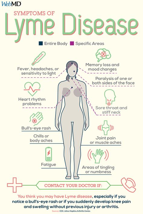 Lyme Disease Tick Bite, Adolescent Health, Disease Symptoms, Mood Changes, Medical Studies, Medical Coding, Body Ache, Nursing Notes, Medical Knowledge