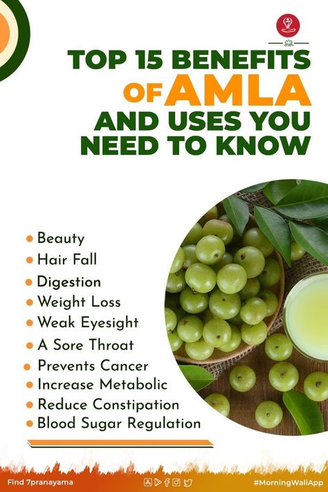 Gooseberry Benefits, Amla Benefits, Ayurveda Medicine, Cider Vinegar Benefits, Hair Fall Problem, Indian Gooseberry, Apple Benefits, Ayurveda Life, Fruit Health Benefits