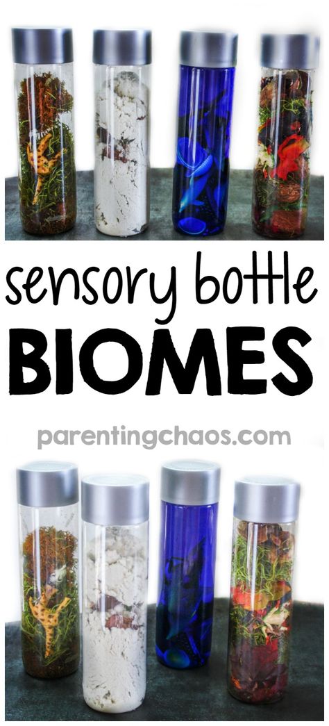 These Sensory Bottle Biomes are a fun, yet simple way for kids to explore what makes up a biome and to compare how various plant and animal life has adapted to fit that biome. Sensory Bottles Preschool, Discovery Bottles, Sensory Bottle, Sensory Bags, Sensory Crafts, Sensory Activity, Sensory Boxes, Sensory Bottles, Kids Sensory