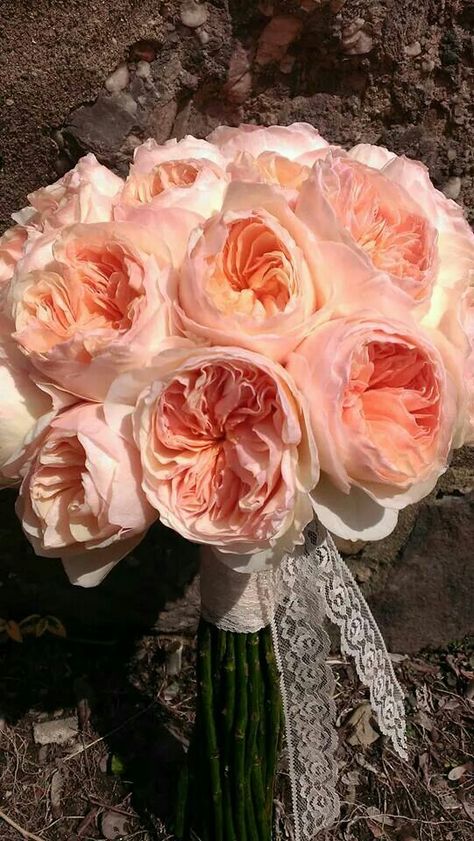 Juliet bouquet Juliet Rose Aesthetic, Juliet Rose Bouquet, Juliet Flower, Juliette Rose, Pretty Flowers Pictures, Juliet Rose, Dream Wedding Decorations, Rose Wedding Bouquet, Rosé Aesthetic