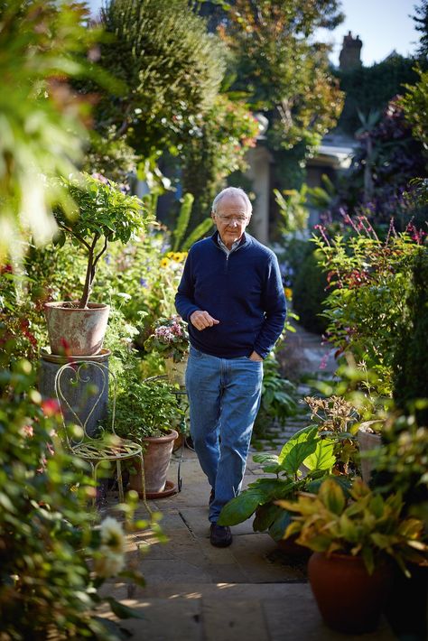 A London garden where every inch is filled with lush planting | House & Garden Garden Arbour Seat, East Facing Garden, Garden Design London, Narrow Garden, Front Gardens, Shade Gardens, American Garden, London Garden, Garden Arbor