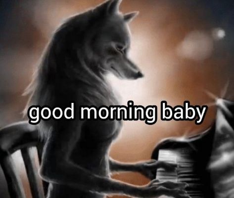 Good Morning Baby, Worst Tattoos, Alpha Wolf, From Tiktok, Goofy Pictures, Silly Images, 웃긴 사진, Very Funny Pictures, Silly Pictures