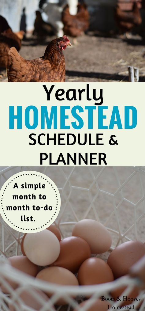 Homestead Schedule, Homestead Layout, Acre Homestead, Homesteading Diy, Farm Plans, Homestead Farm, Homestead Gardens, Homesteading Skills, Yearly Goals