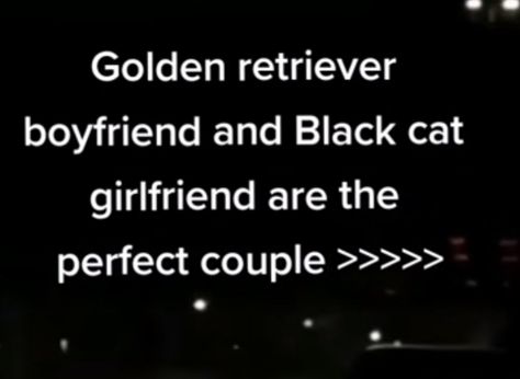 Golden Retriever Boyfriend X Black Cat Girlfriend, Black Cat Gf And Golden Bf Aesthetic, Black Cat Girlfriend And Golden Retriever Boyfriend, Grumpy Gf Sunshine Bf Aesthetic, Black Cat Gf And Golden Retriever Bf Couple, Black Cat X Golden Retriever Couple, Black Cat Gf And Golden Retriever Bf, Couple With Cat Aesthetic, Black Cat Boyfriend Aesthetic