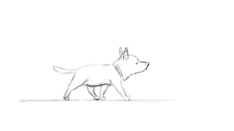 照片Untitled_zps2c10570d.gif Running After Someone Reference, Dog Running Drawing Reference, Animal Walking Animation, Dog Walk Cycle Animation, Dog Walking Animation, Dog Walk Illustration, Dog Running Animation, Dog Walking Drawing, Dog Walk Cycle