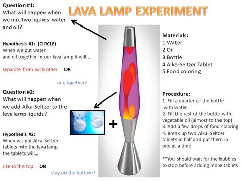 + LAVA LAMP EXPERIMENT Question #1: What will happen when - ppt video online download Lava Lamp Experiment, Homemade Lava Lamp, Make A Lava Lamp, Science Fair Board, Science Fair Projects Boards, Problem Statement, Fair Projects, Project Board, Animal Crafts For Kids