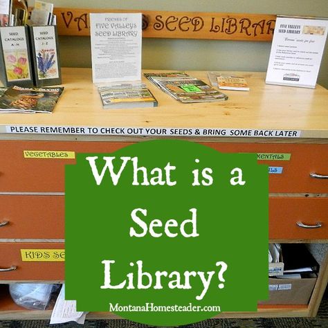 What is a seed library? Seed Library, Planting Garden, Garden Prepping, Veggie Gardens, Garden Layouts, Fall Vegetables, Kids Library, Survival Gardening, Seed Bank