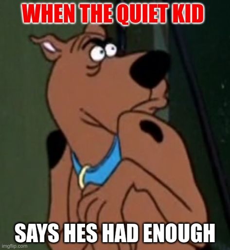 Scooby Doo 1969, Scooby Doo Memes, Scooby Doo Images, Golden Family, Dirty Memes, Dog Patch, Funny Cartoons, Friend Pictures, Furniture Collection