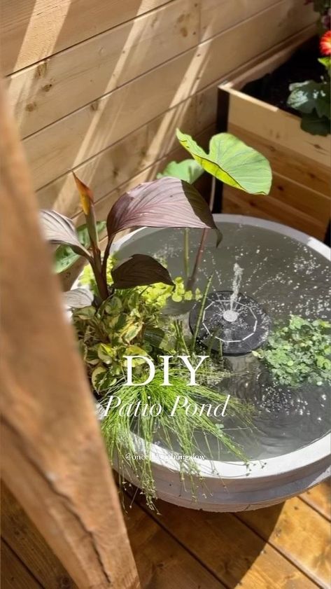 Diy Patio Pond, Fish Pond Gardens, Container Water Gardens, Patio Pond, Taman Air, Indoor Water Garden, Diy Water Fountain, In Her Garden, Diy Pond