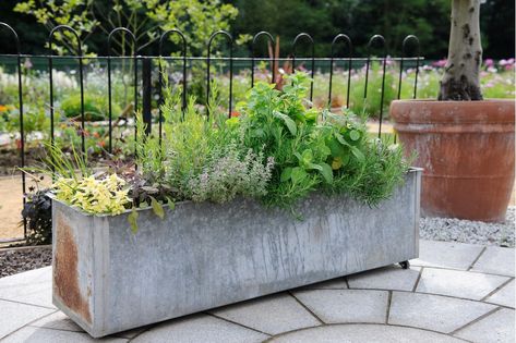 Galvanised Trough Planter, Galvanised Planter Ideas, Cabinet Planters, Metal Trough Planter, Plant Troughs, Vege Garden, Patio Container Gardening, Garden Troughs, Westbury Gardens