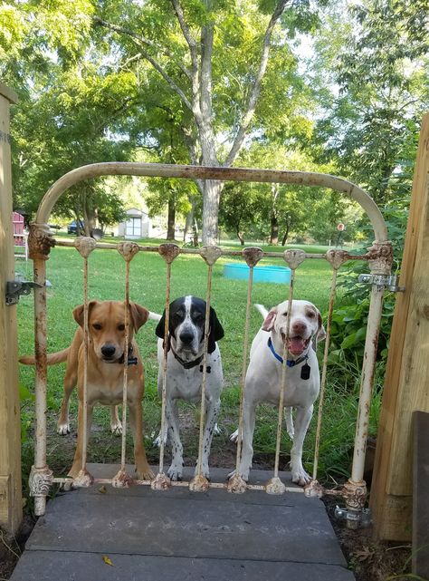 Garden Headboard Ideas, Garden Gate Headboard, Creative Gate Ideas, Headboard Gate Ideas, Patio Gate Ideas, Headboard Garden Ideas, Bed Frame In Garden, Old Gates Repurposed, Old Metal Gates Repurposed