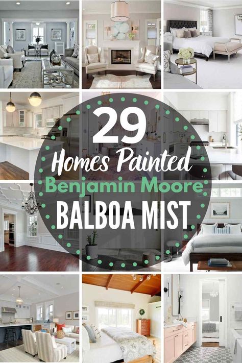 Greige Paint Color, Pewter Benjamin Moore, Benjamin Moore Balboa Mist, Basement Paint Colors, Balboa Mist, Warm Gray Paint, Greige Paint Colors, Greige Paint, Farmhouse Paint Colors