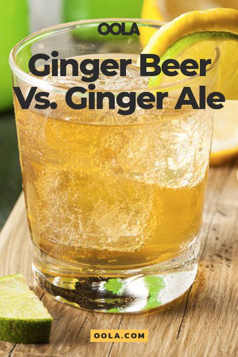 Ginger Beer Benefits, Ginger Beer Plant, Jamaican Ginger Beer Recipe, Homemade Booze, Beer Benefits, Ginger Ale Recipe, Ginger Beer Recipe, Cocktail Recipes Tequila, Cocktail Recipes For A Crowd