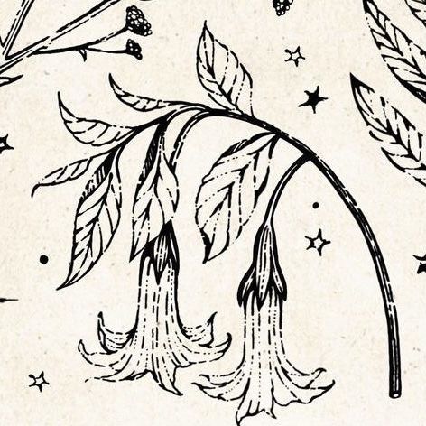 Woodcut Plant Tattoo, Plant Tattoo Aesthetic, Gothic Botanical Tattoo, Witchy Floral Tattoo, Whimsy Goth Tattoo, Whimsigoth Tattoo Ideas, Botanical Tattoo Vintage, Witchy Tattoos Sleeve, Goth Botanical