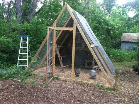 A-frame Chicken Coop | Houses 12 full time birds or 60 free … | Flickr Reban Ayam, A Frame Chicken Coop, Chicken Coop Plans Free, Easy Chicken Coop, Portable Chicken Coop, Diy Chicken Coop Plans, Urban Chickens, Backyard Chicken Farming, Coop Design