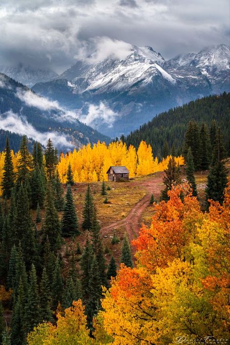 Abandoned Cabin, Forest Home Decor, Mountain Autumn, Colorado Wall Art, Forest Home, Colorado Landscape, Foto Top, San Juan Mountains, Scenic Photography