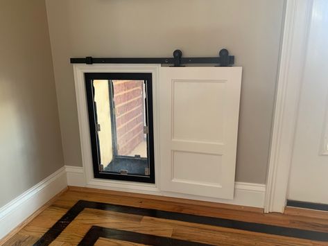 Doggy Door Barn Door, Back Door With Doggie Door, Indoor Outdoor Dog Area, Dogie Door Ideas, Exterior Door With Doggie Door, Doggy Door In Wall Ideas, Secret Dog Door, Diy Pet Door Flap, Dog Door House