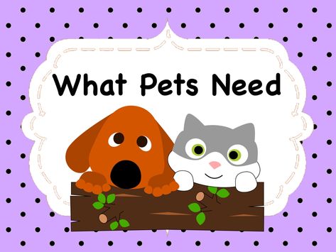 What Do Pets Need Preschool, Caring For Pets Preschool, Taking Care Of Pets Preschool, Preschool Pets Theme, Preschool Pet Activities, Preschool Class Ideas, Pet Study, Pet Activities, Junior Kindergarten