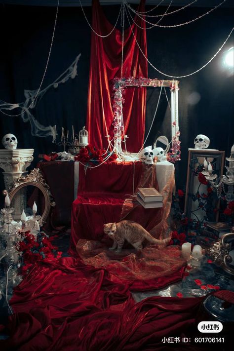 Set Design Photography, Birthday Tags, Halloween Photoshoot, Display Design, Stage Design, Group Photos, Photo Backgrounds, Hush Hush, Photography Tips