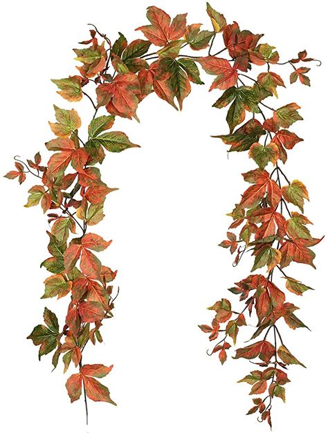 Amazon.com: Lvydec 2 Pack Fall Maple Garland - 6.5ft/Piece Artificial Fall Foliage Garland Autumn Decor for Home Wedding Party: Home & Kitchen Foliage Garland, Artificial Eucalyptus Garland, Hanging Rattan, Leaves Changing Color, Fall Leaf Garland, Home Wedding Party, Eucalyptus Garland, Artificial Foliage, Fall Garland