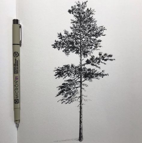 Pen Tree Drawing, Vine Sketch, Trees Drawing Tutorial, Trees Drawing, Charcoal Artwork, Majestic Tree, Tree Tattoos, Ink Pen Art, Structural Drawing