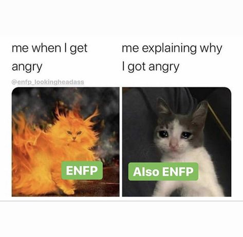 Enfp When Angry, Enfp Funny, Enfp Art, 16 Personalities Enfp, Enfp Core, Enfp Things, Personalidad Enfp, Intj Enfp, Enfp Personality