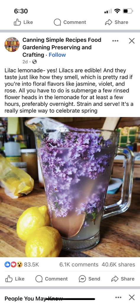 Lilac Lemonade, Lemonade Recipes, Wild Plants, Food Garden, Drink Up, Simple Way, Homemade Recipes, Lemonade, Lilac