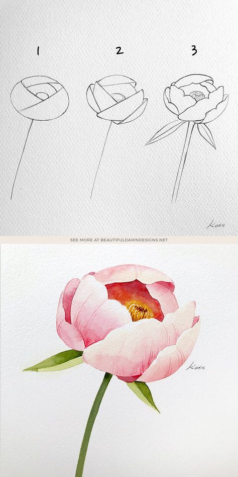 22 Easy How to Draw Flowers Step-by-Step Tutorials - Beautiful Dawn Designs Drawing Ideas Flowers, Sketch Drawing Ideas, Draw A Flower, Peony Drawing, Easy Flower Drawings, Draw Flowers, Flower Drawing Tutorials, Watercolor Flowers Tutorial, Peony Painting