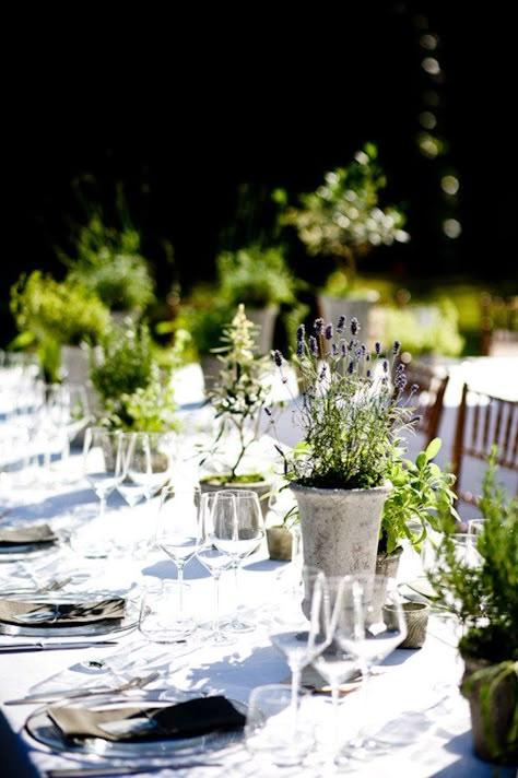 beautiful centerpiece ideas Creative Wedding Centerpieces, Potted Herbs, Colin Cowie, Creative Centerpieces, Flowers In Vases, White Linens, Centerpieces Floral, Wedding Floral Centerpieces, Herb Pots