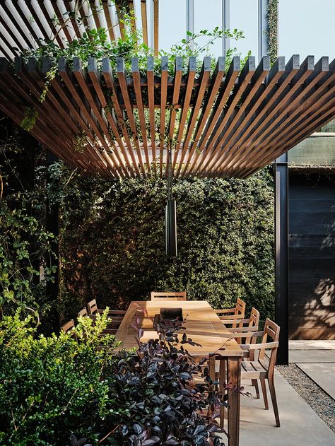 Pargola Design For Exterior, Terrace House Backyard, Pergola From House, Courtyard Pergola Ideas, Roof Patio Design, Modern Pergola Design Architecture, Scandinavian Pergola, Modern Wood Pergola, Pergola Off Of House