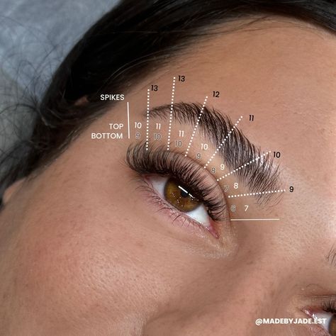 Lash map Natural Whispy Lashes Extensions Map, Open Eye Hybrid Lash Extensions Mapping, Open Eye Wispy Lash Extensions Mapping, Wispy Cat Eye Mapping, Wet Wispy Lash Extensions Map, Kitten Eye Mapping, Lash Mapping Volume, Cat Eye Lashes Mapping, Wispy Cat Eye Lash Map