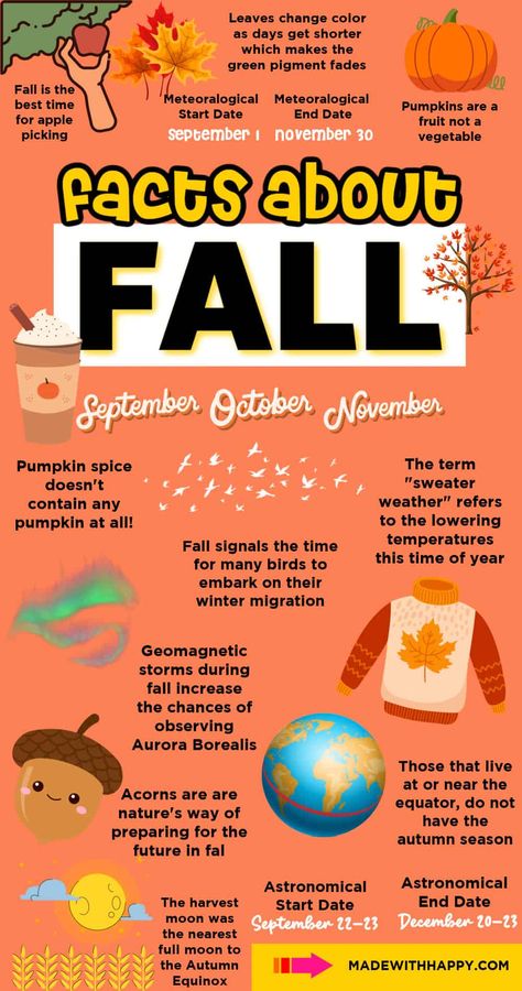 Autumn Facts, September Facts, Fun Facts About Me Ideas, October Facts, Fun Facts About Fall, Fall Stories, Halloween Fun Facts, Pumpkin Facts, Fall Facts