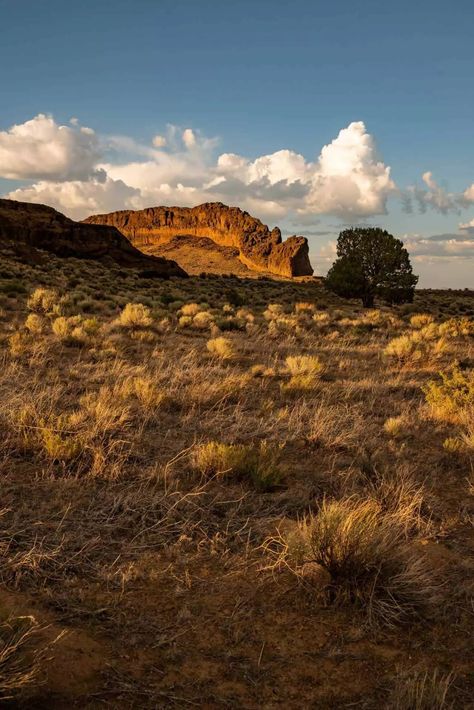 High Desert Oregon, Oregon High Desert, Oregon Desert, Bend Oregon Photography, Western Oregon University, Oregon Aesthetic, Owyhee Canyonlands Oregon, Oregon Landmarks, High Desert Landscaping