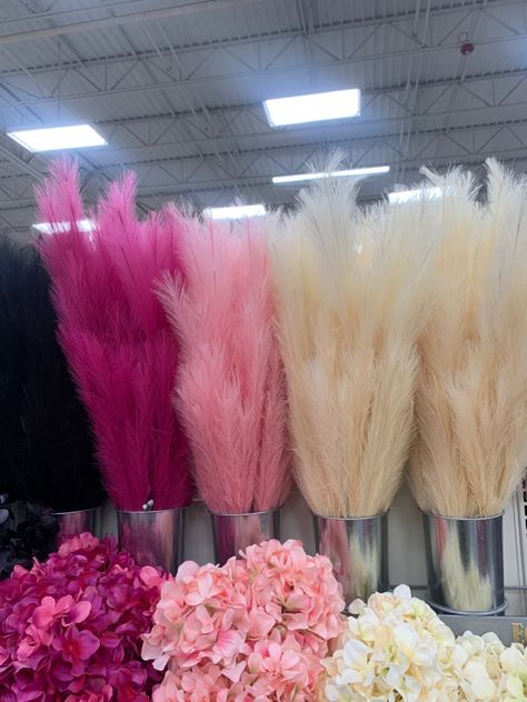 #bohohome#pampasgrass#michaelsstores Pampas Grass Decor Pink, Hot Pink Pampas, Pink Esthetician Room, Pink Lash Room, Pink Pampas Grass Decor, Pampas Grass Wall Decor, Pampas Wall Decor, Pampas Grass Wall, Pampas Wall