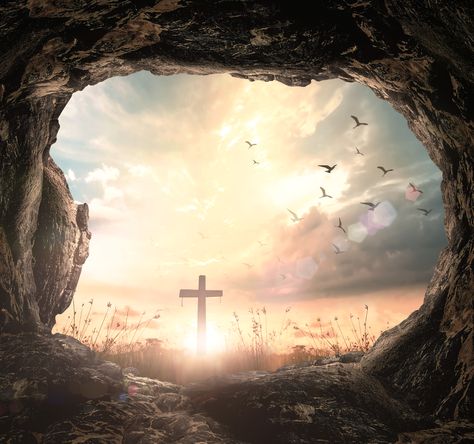 Merry Christmas Jesus, Empty Tomb, Resurrection Day, Jesus Is Risen, Resurrection Sunday, Christ Is Risen, Jesus Resurrection, Jesus Christ Images, Christmas Jesus