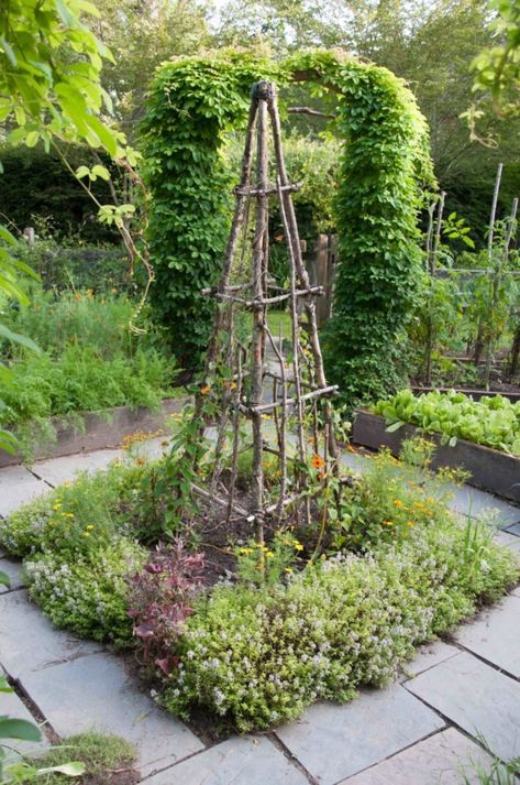 Rustic Trellis, Obelisk Trellis, Small Herb Gardens, Backyard Garden Layout, Garden Obelisk, Garden Vines, Potager Garden, Garden Arbor, Garden Artwork