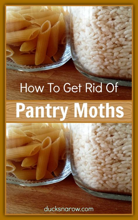 How to Get Rid of Pantry Moths - July 2022 - Ducks 'n a Row Pantry Bugs, Getting Rid Of Moths, Pantry Moths, Expired Food, Small Moths, Wonderful Wednesday, Bug Spray, Food Out, House Cleaning Tips