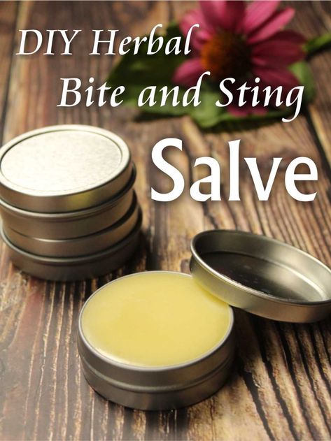 Onion Syrup, Yarrow Salve, Herbal First Aid Kit, Herbal Salve Recipes, Herbal First Aid, Comfrey Salve, Ant Bites, Medicine Garden, Herbal Medicine Recipes