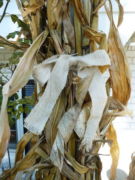 cornstalks tied together with burlap || I'm doing this! Corn Stalks Front Porch, Decorating With Corn Stalks, Busy Painting, How To Make Corn, Halloween Outside, Corn Stalks, Fall Faves, Fall Fest, Autumn Decorating