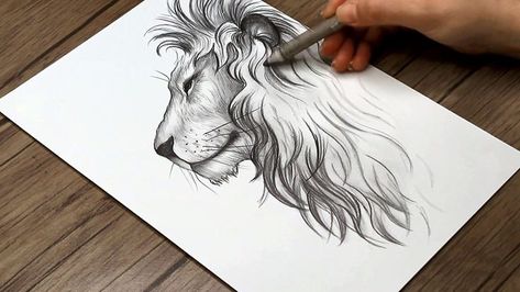 In this tutorial, watch how to draw a lion side view face step by step with a pencil. #lion_drawing #draw_lion #drawing #sketch #howtodraw How To Draw A Lions Face Step By Step, Side View Lion Tattoo, Lion Face Side View, Lion Side View, Face Side View Drawing, Face Profile Drawing, Lion Head Drawing, Draw Lion, Side Face Drawing