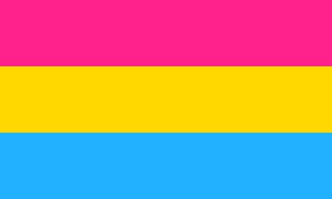 Platonic Aesthetic, Emotional Attraction, Butch Lesbian, Pan Flag, Pansexual Flag, Non Binary People, Lgbtq Flags, Pansexual Pride, All Flags