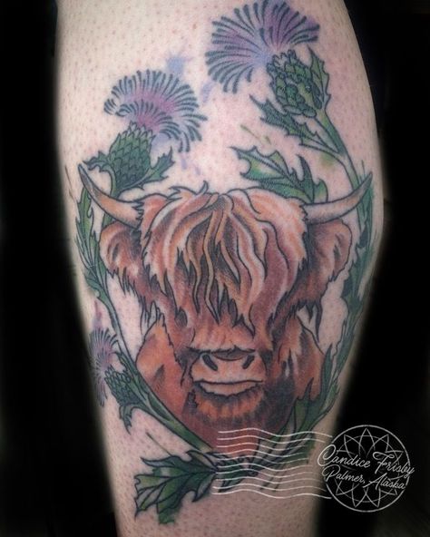 Highland Tattoo, Highland Cow Tattoo, Mini Highland Cow, Cow Tattoo, Scottish Cow, Highland Cow Art, Mouth Drawing, Scottish Highland Cow, Cow Art