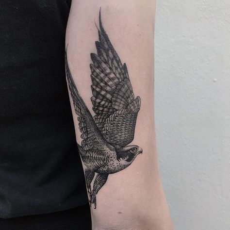 Peregrine Falcon Tattoo Traditional, Hawk Shoulder Tattoo, Peregrine Tattoo, Falcon Tattoo Design, Peregrine Falcon Tattoo, Crocodile Tattoo, Falcon Tattoo, Outer Forearm Tattoo, Hawk Tattoo