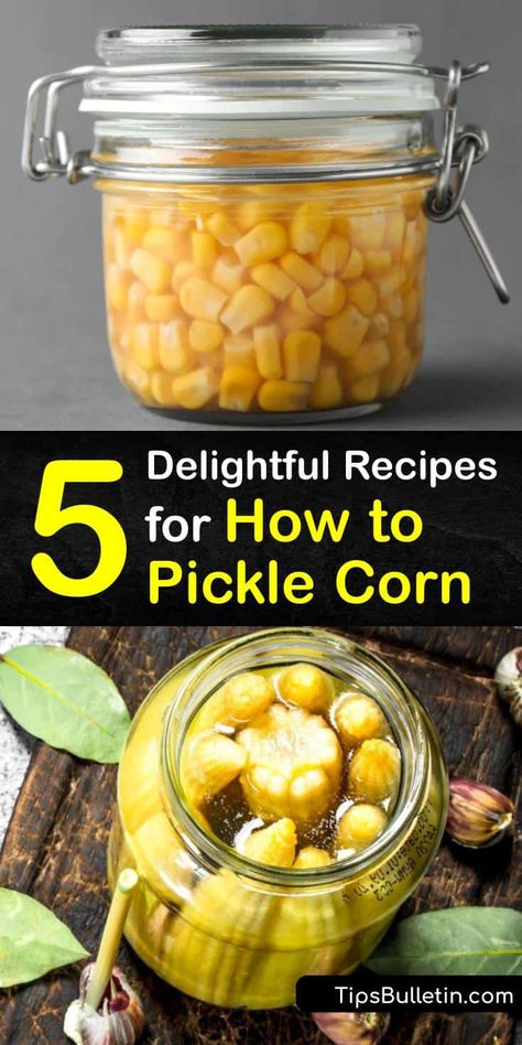 5 Delightful Recipes for How to Pickle Corn Pickled Corn Recipe, Pickled Corn Old Fashioned, Pickled Corn On The Cob, Pickled Baby Corn Recipe, Hobbit Pantry, Storing Jars, Barbeque Side Dishes, Canning Pickles Recipe, Fermented Corn