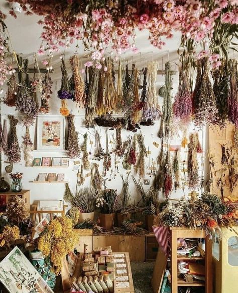 Herbal Shop, Apothecary Decor, Herb Shop, Magia Das Ervas, Witch Shop, Herbal Apothecary, Herbal Magic, Green Witch, Kitchen Witch