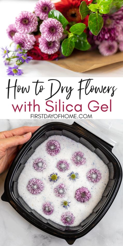 Silica Gel Uses, How To Dry Flowers, Dried Flowers Crafts, Preserving Flowers, Pressed Flowers Diy, Drying Flowers, Dried Flowers Diy, Drying Roses, Pressed Flower Crafts