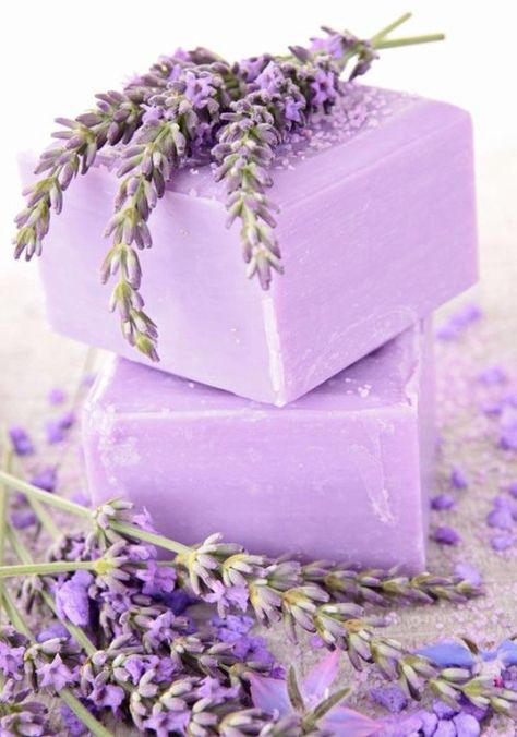 Seda y Nacar Purple Soap, Bars Of Soap, Săpunuri Handmade, Lavender Cottage, Lavender Farm, Lavender Soap, Lovely Lavender, Purple Love, All Things Purple