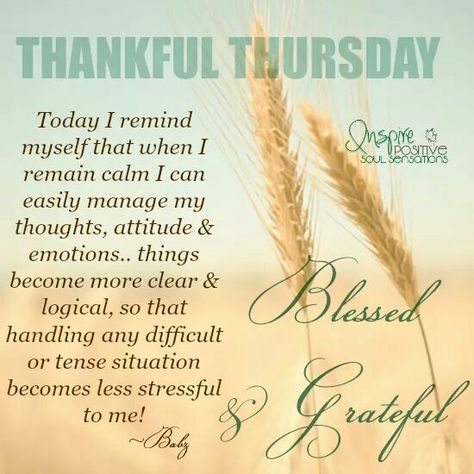 Thankful Thursday Thankful Thursday Quotes, Thursday Morning Quotes, Thursday Inspiration, Happy Thursday Quotes, Good Morning Thursday, Good Morning Quotes For Him, Being Grateful, Thursday Quotes, Morning Quotes For Him