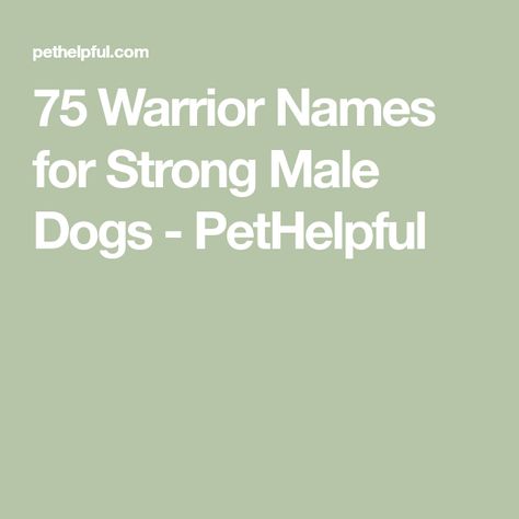 75 Warrior Names for Strong Male Dogs - PetHelpful Strong Dog Names Male, Strong Dog Names, Names And Their Meanings, Strong Dogs, Warrior Names, Strong Names, Military Dog, Great Names, Military Dogs